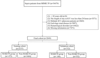 An early warning model for predicting major adverse kidney events within 30 days in sepsis patients